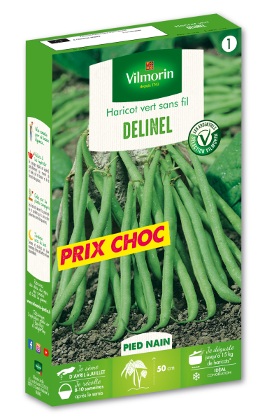 Légumes Secs - Haricot Nain Vert Delinel - PACKAGING_3D_RECTO